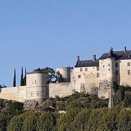 Les Logis D Usse Rigny-Ussé Exterior foto