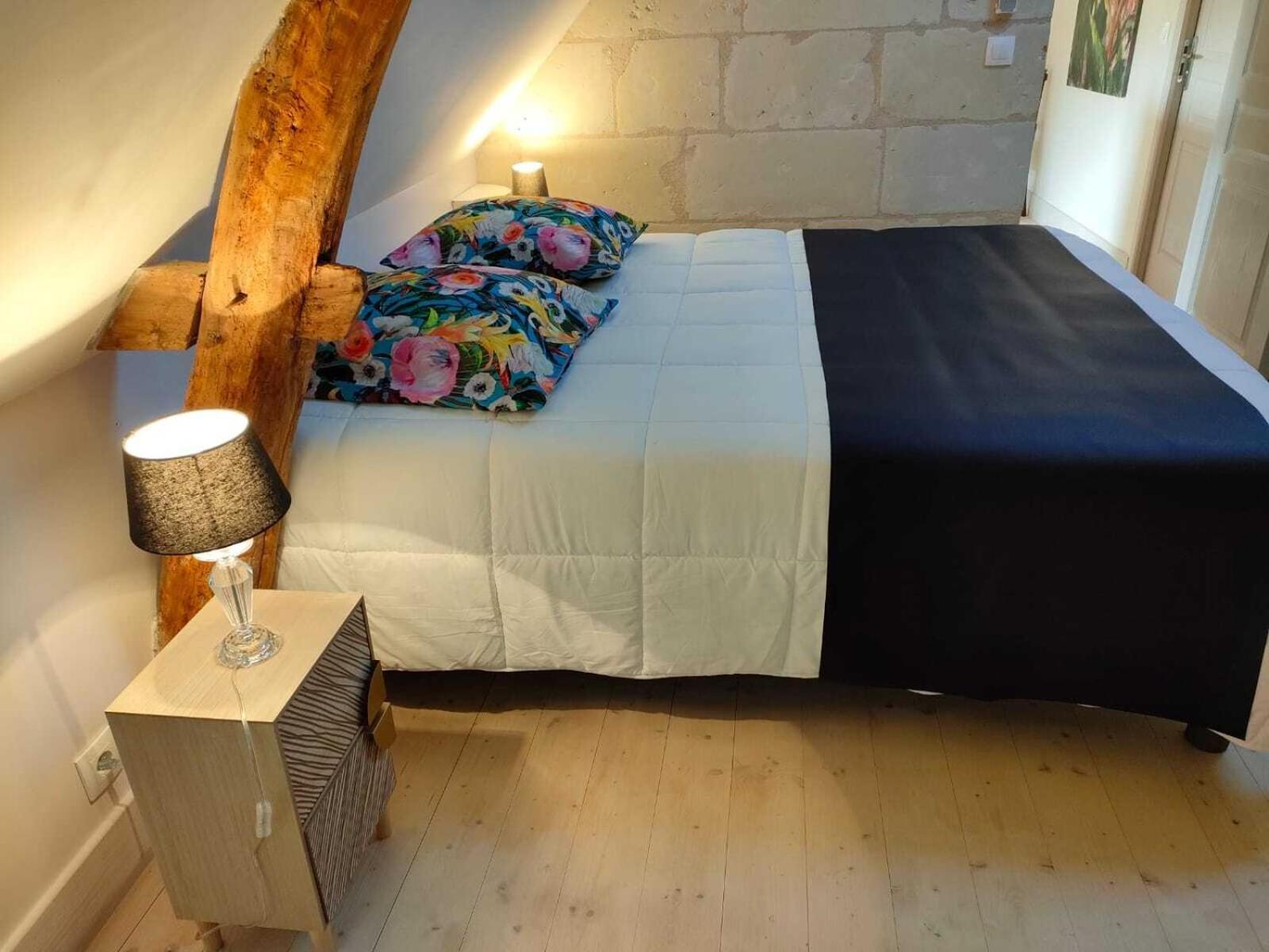 Les Logis D Usse Rigny-Ussé Quarto foto