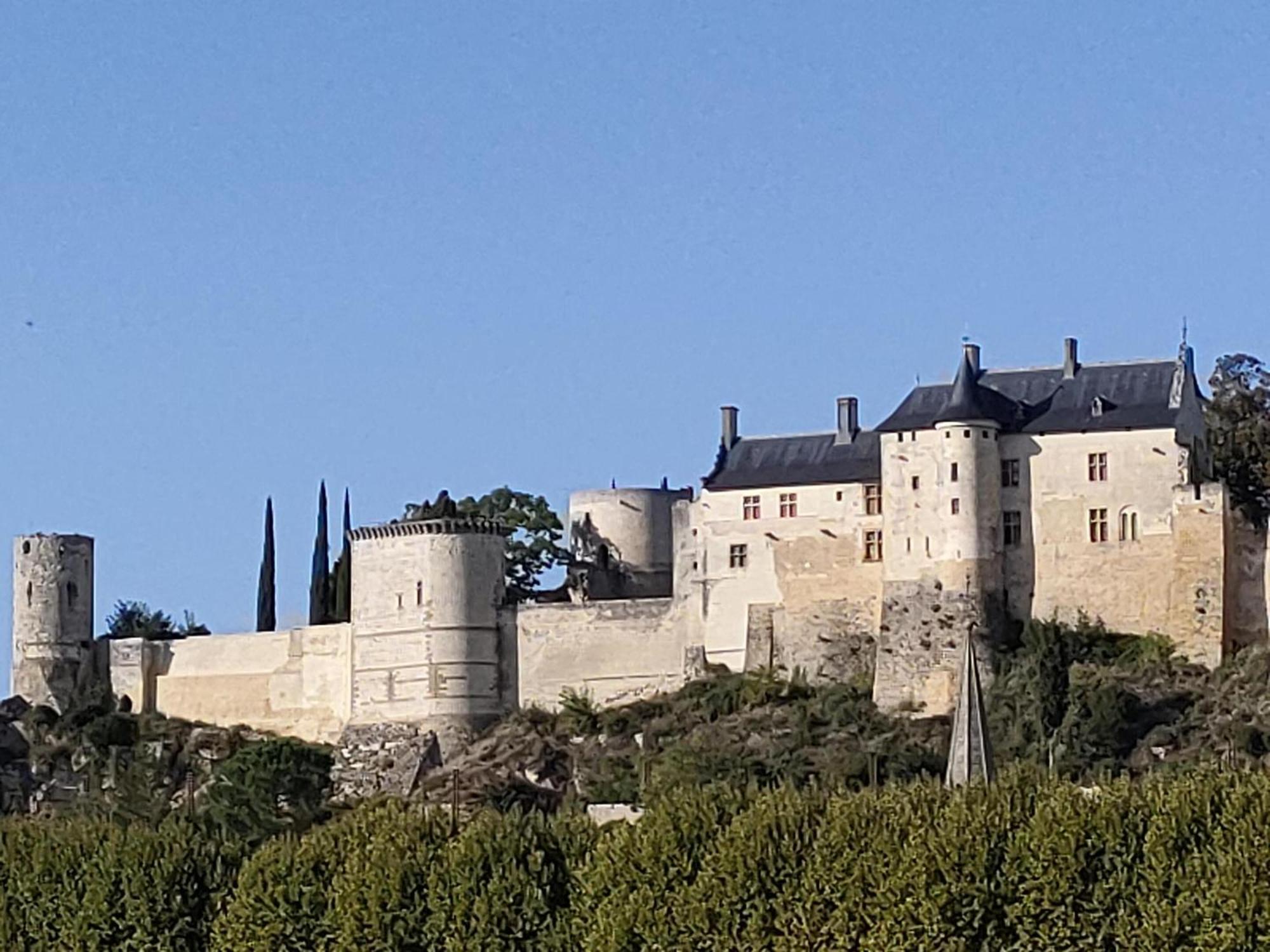 Les Logis D Usse Rigny-Ussé Exterior foto