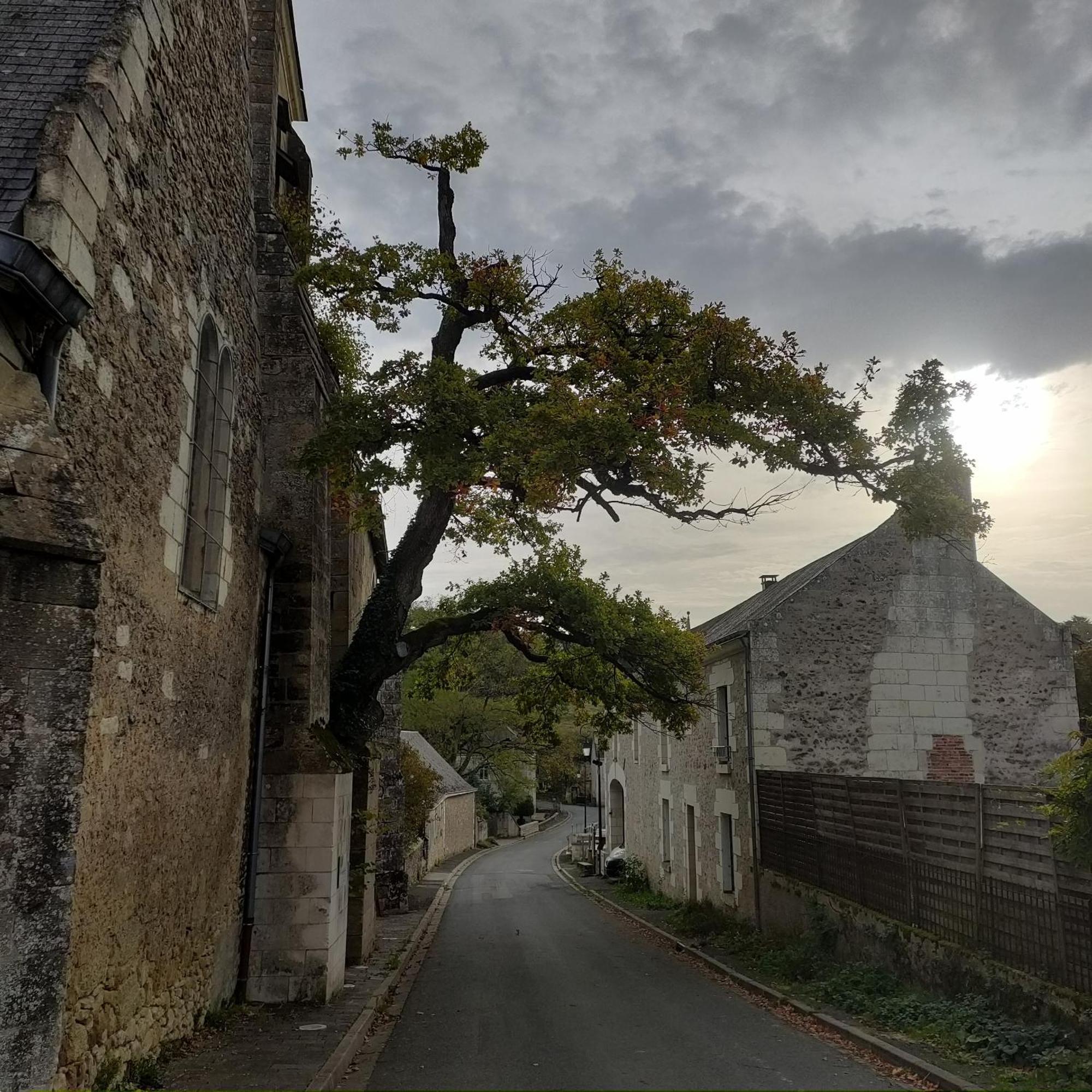 Les Logis D Usse Rigny-Ussé Exterior foto