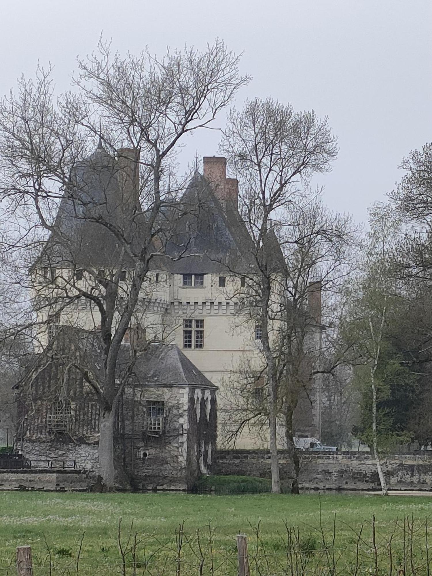 Les Logis D Usse Rigny-Ussé Exterior foto
